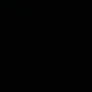 Meet your Posher, Timmy